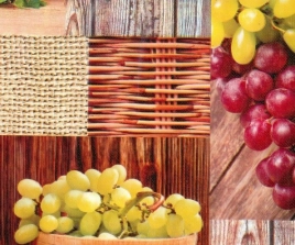 Клеёнка на неткан.основе МАЖОР "Виноград" шир.1,35м