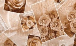 Клеёнка на неткан.основе "Dekorama" "Розы бежевые" шир.1,40м