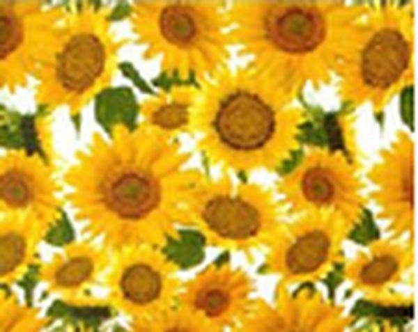 Клеёнка на ткан.основе КОЛОРИТ "Подсолнухи" на белом шир.1,25м *25м фото 1