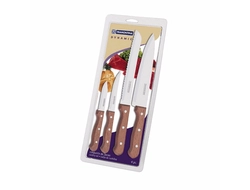 Набор ножей кухонных с дер.ручками 4пр. DynamicTRAMONTINA в блистере фото 1