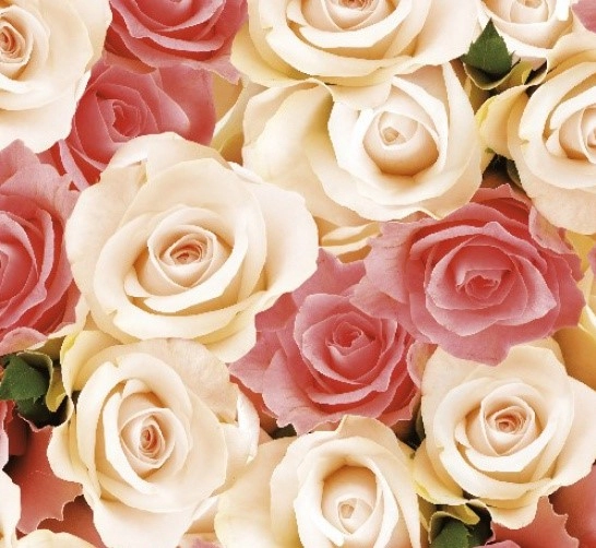 Клеёнка на неткан.основе МАЖОР "Розы" шир.1,35м фото 1